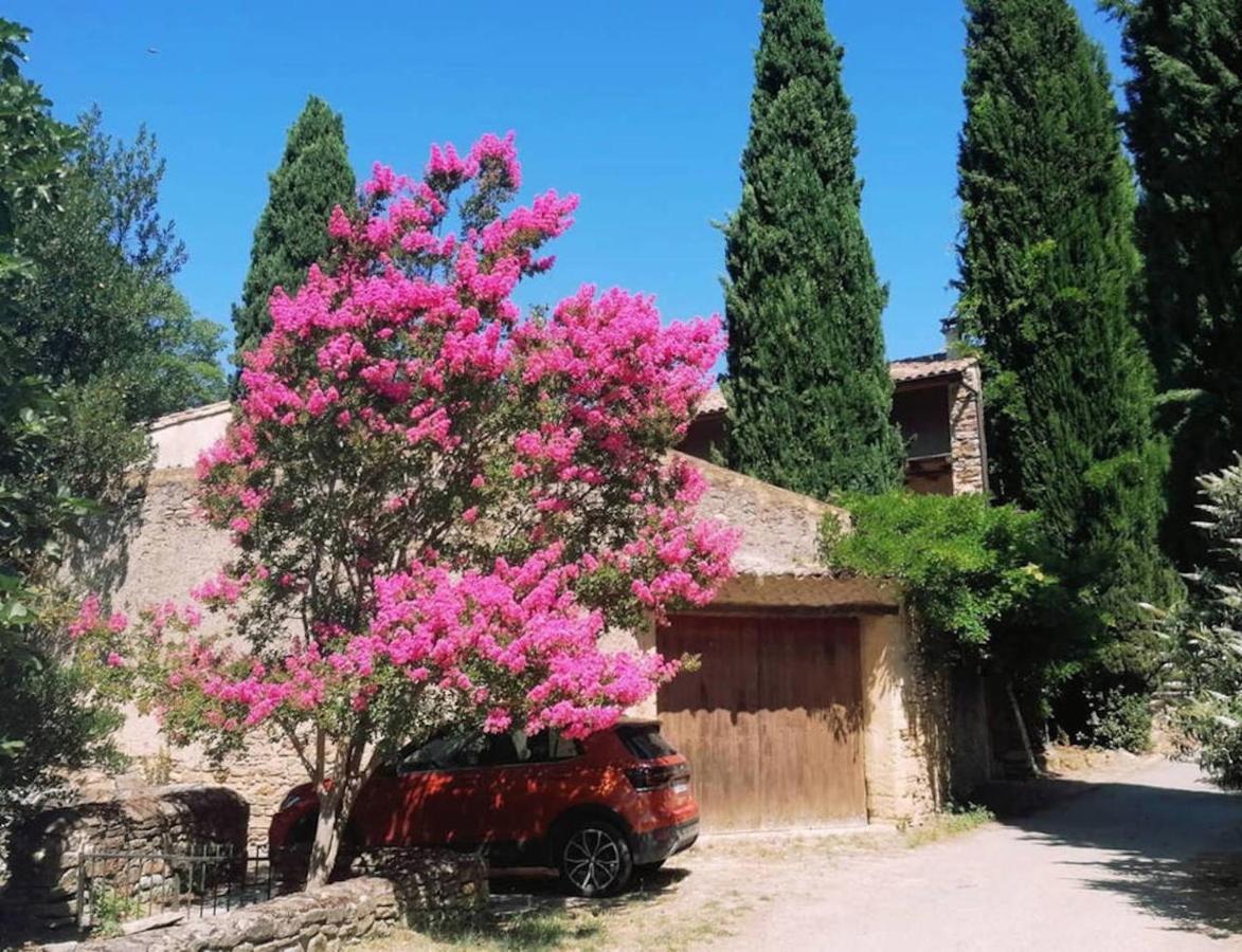 Maison 1643 Laudun Luaran gambar